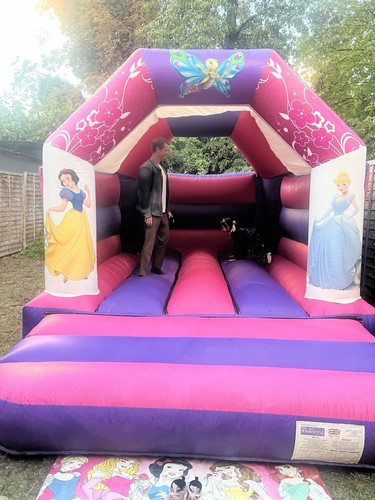 Commercial princess bouncy - princess,